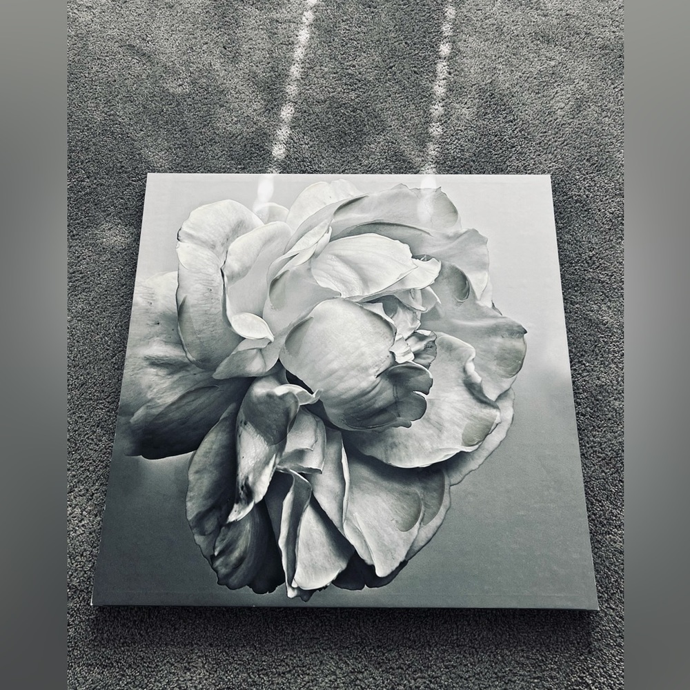 Black and white flower canvas